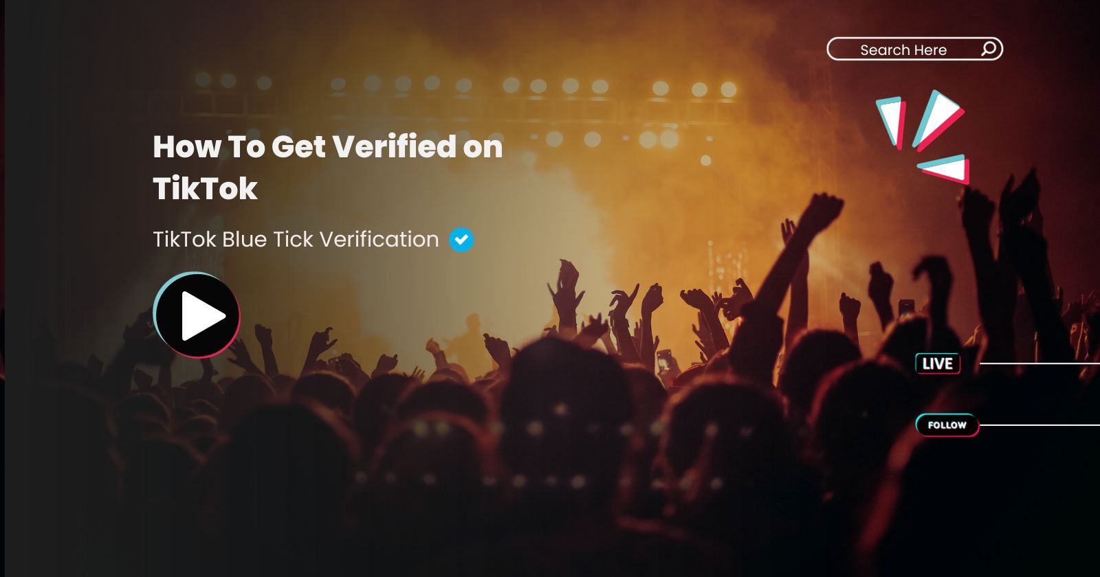 How to Get Verified on TikTok for Musicians
